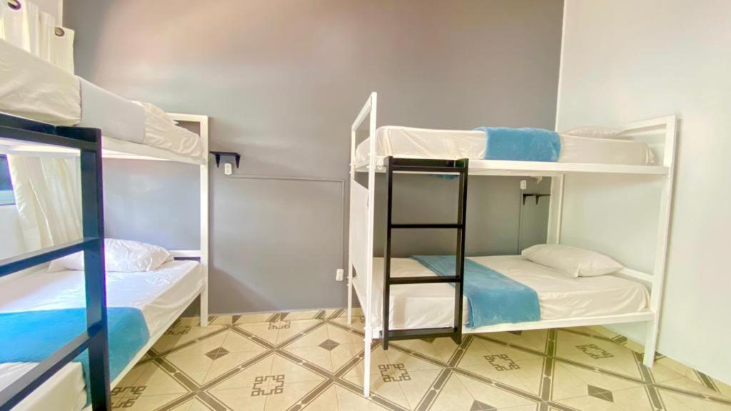 Alto Hostel Mexico Extérieur photo