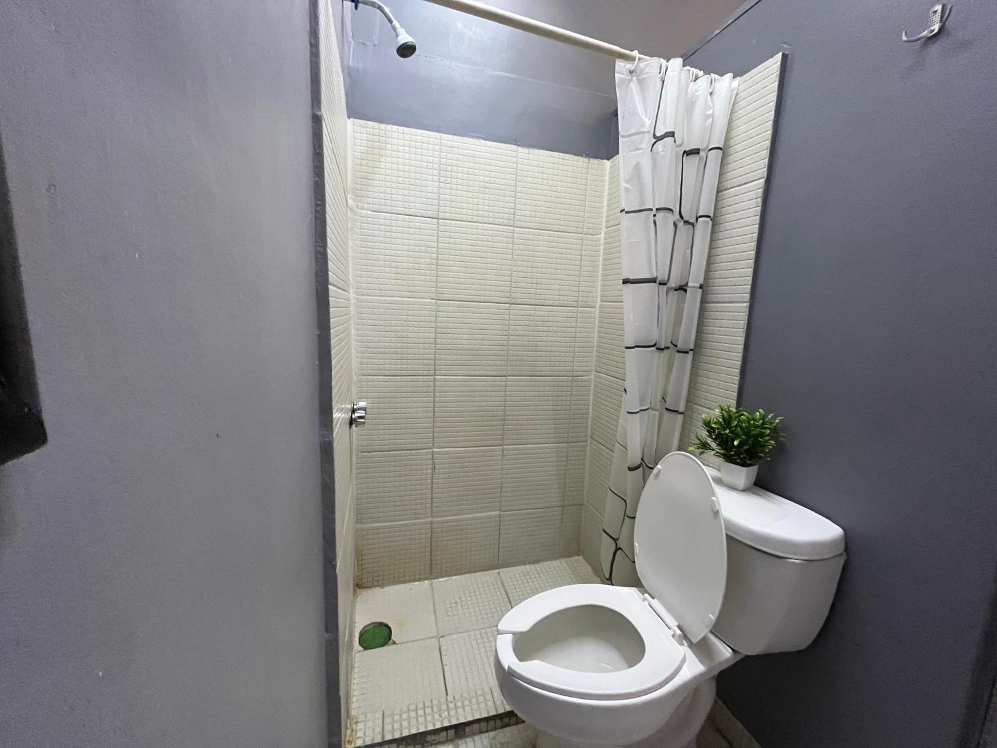 Alto Hostel Mexico Extérieur photo