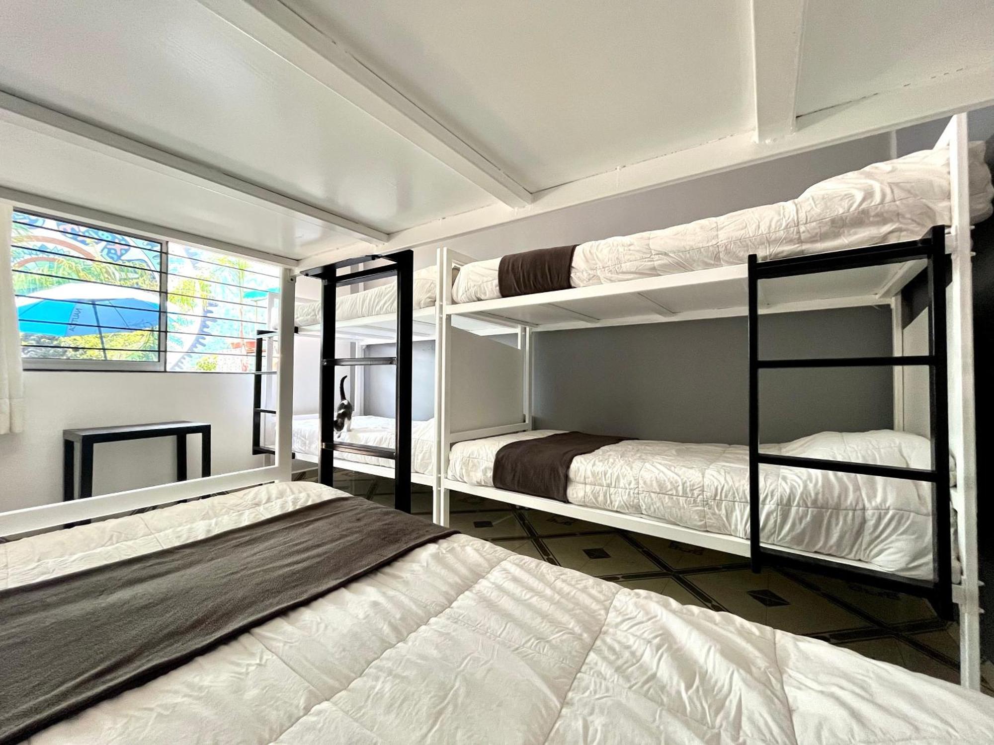 Alto Hostel Mexico Extérieur photo